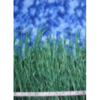 Tales of the Riverbank grass and sky border by Fabric Freedom F806/7